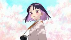 Petals